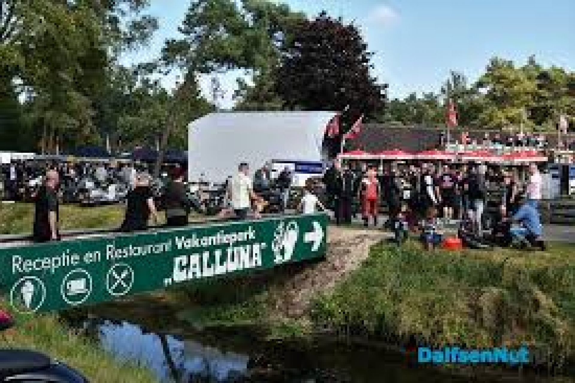 Amerikaanse dag Calluna - Image 1