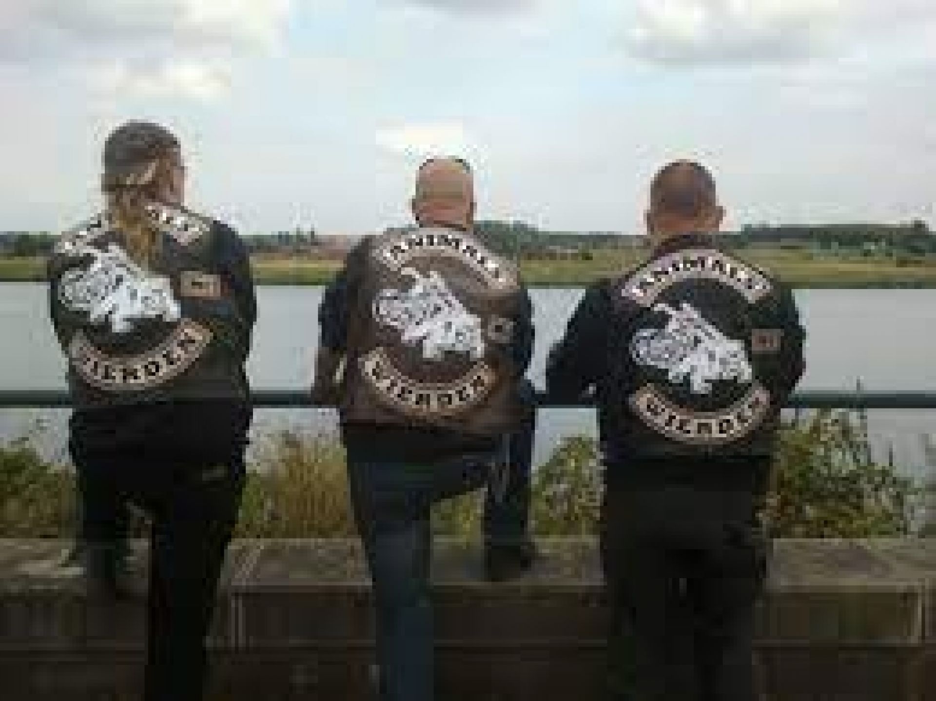 Anniversary Animals MC - Image 1