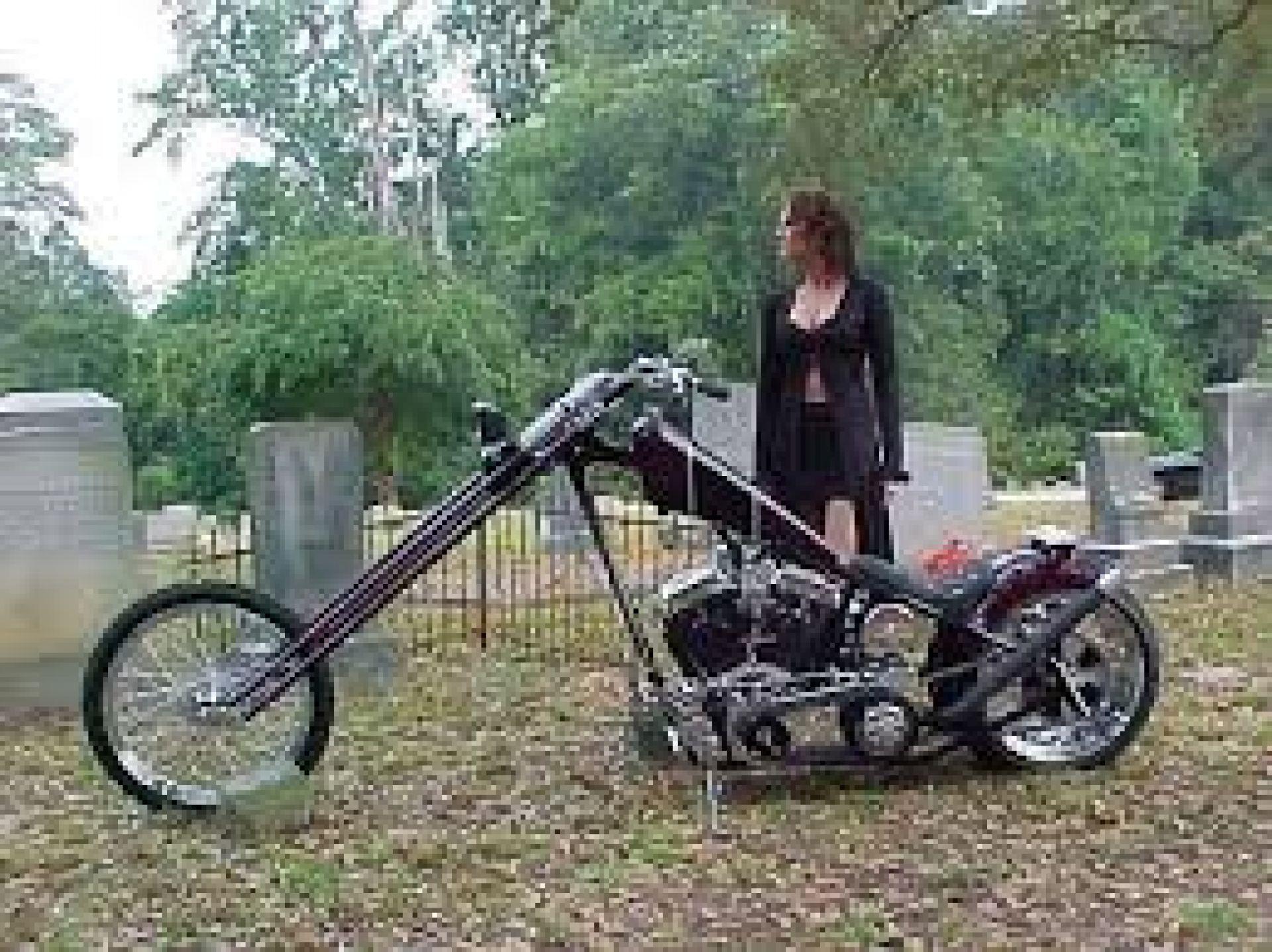 Anniversary Borne - Image 1