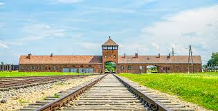 Auschwitz - Image 1