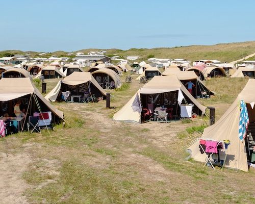 Back to Basic - Image 1