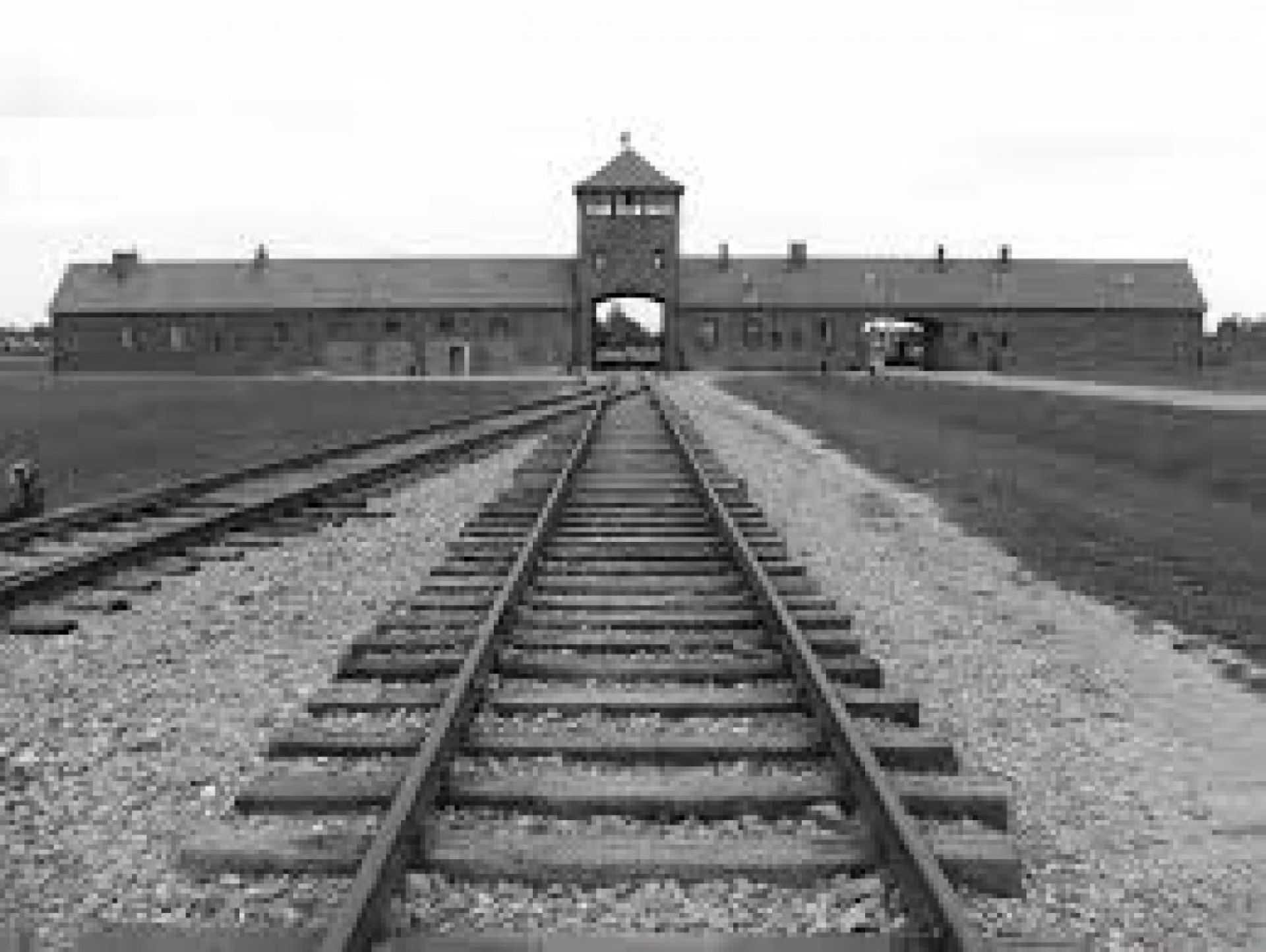 Ride out Auschwitz - Image 1