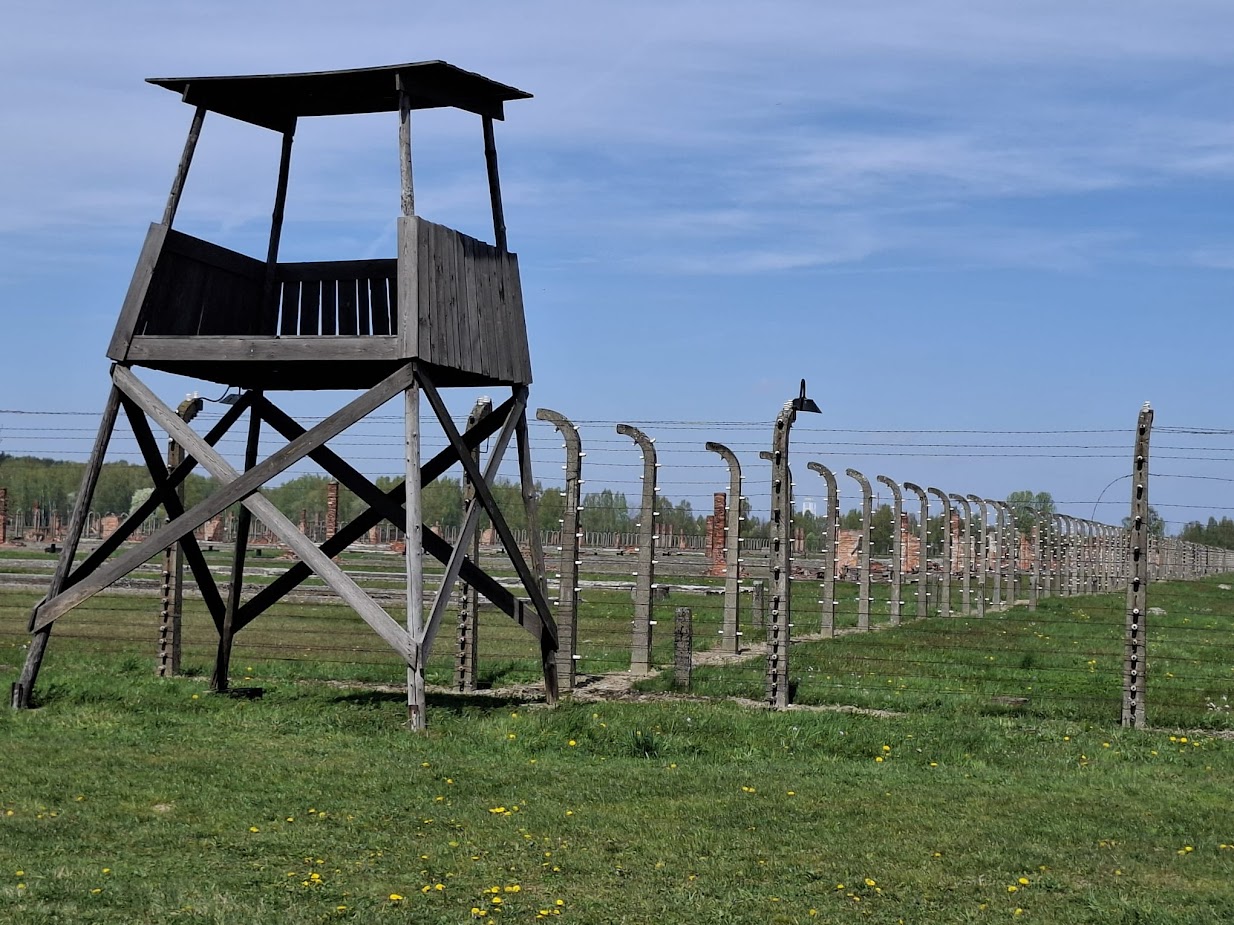 Auschwitz - Image 7