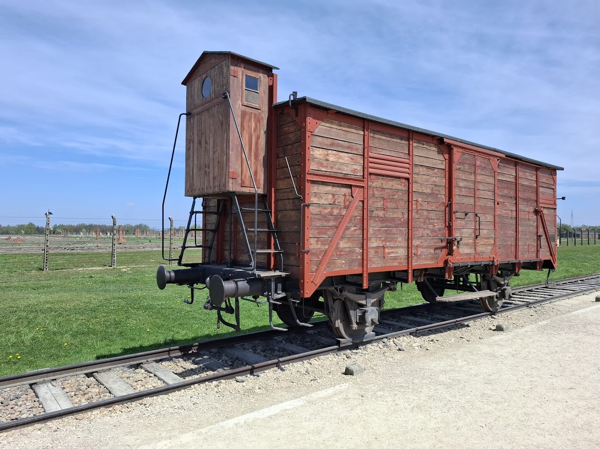 Auschwitz - Image 12