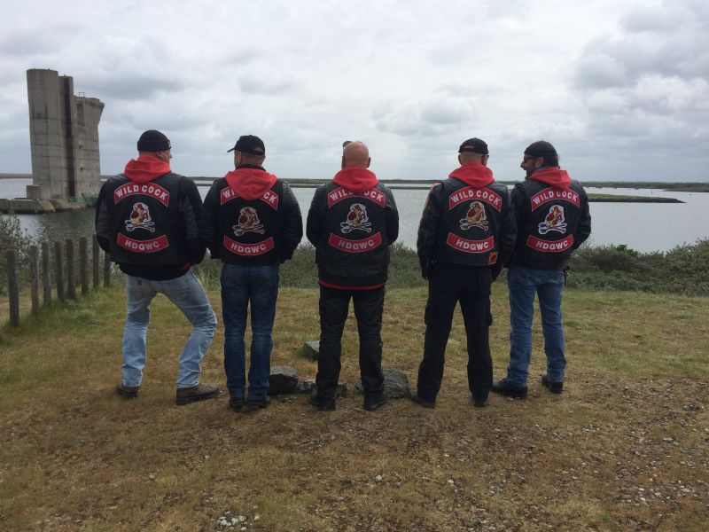 Gold Wing - Image 13