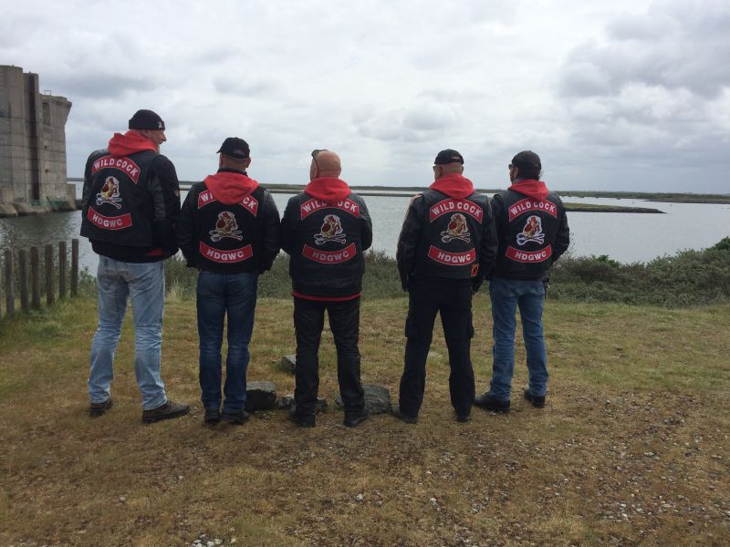 Gold Wing - Image 14