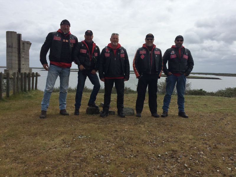 Gold Wing - Image 10