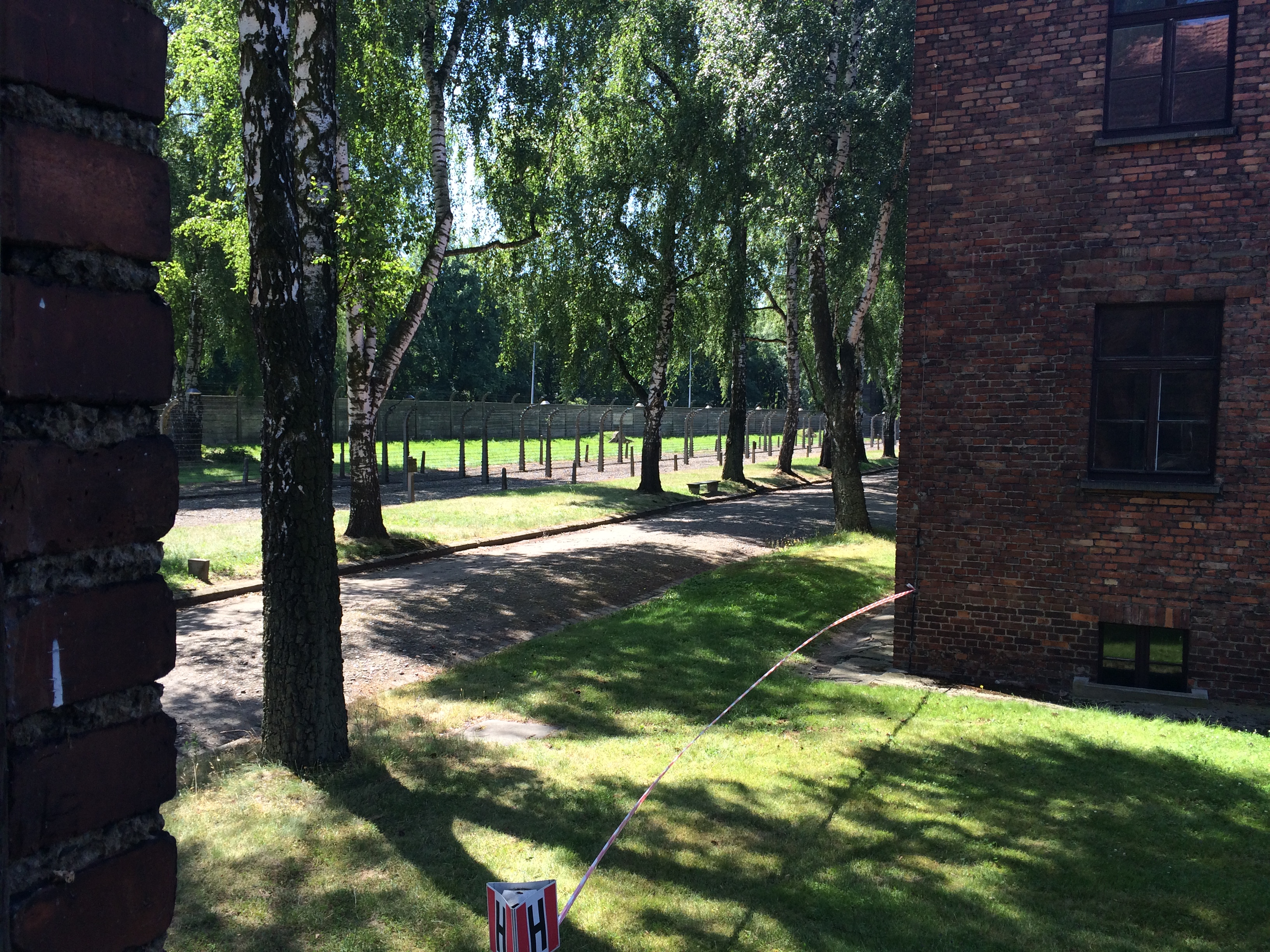 Road Trip Auschwitz - Image 27