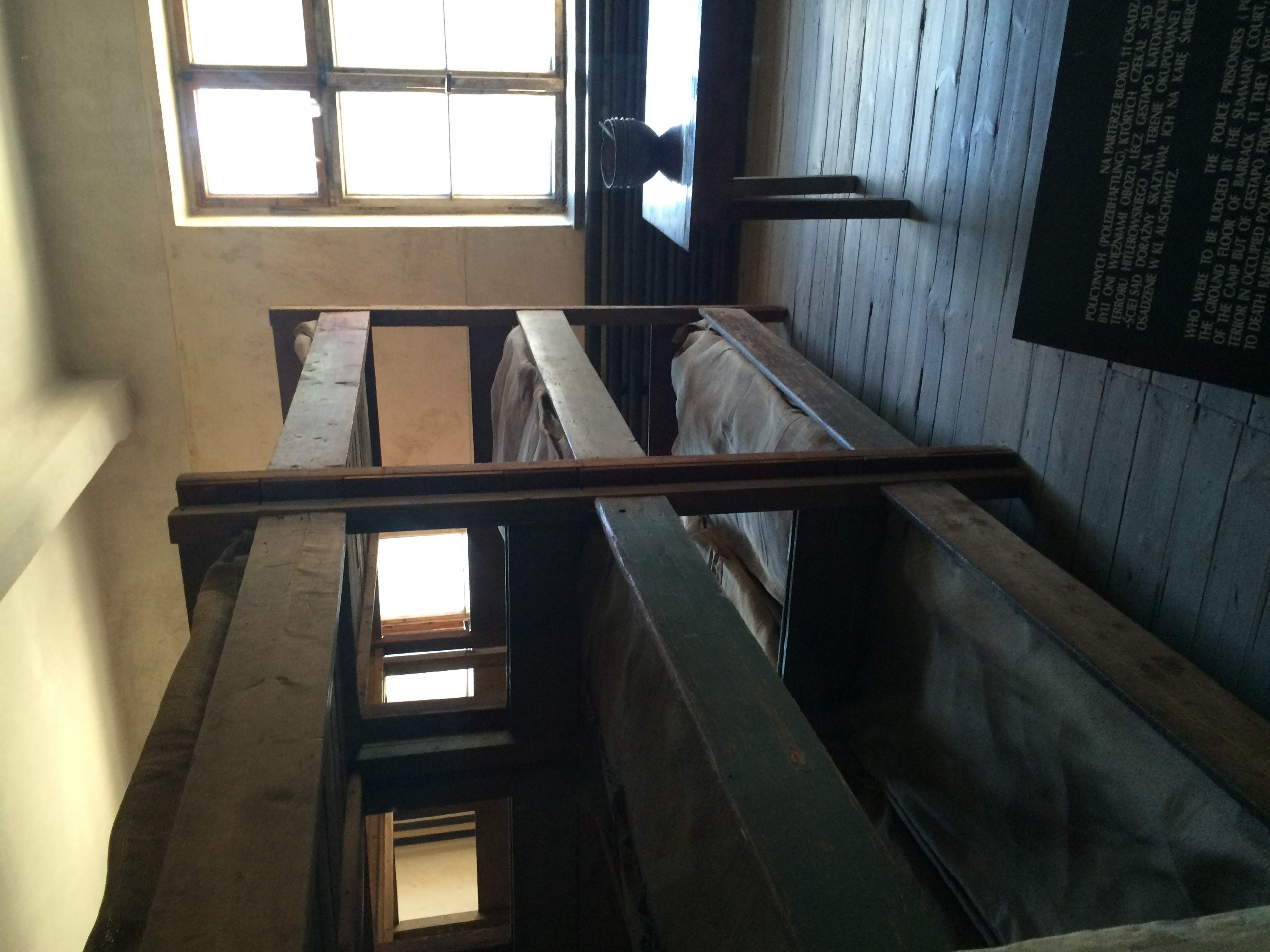 Road Trip Auschwitz - Image 28