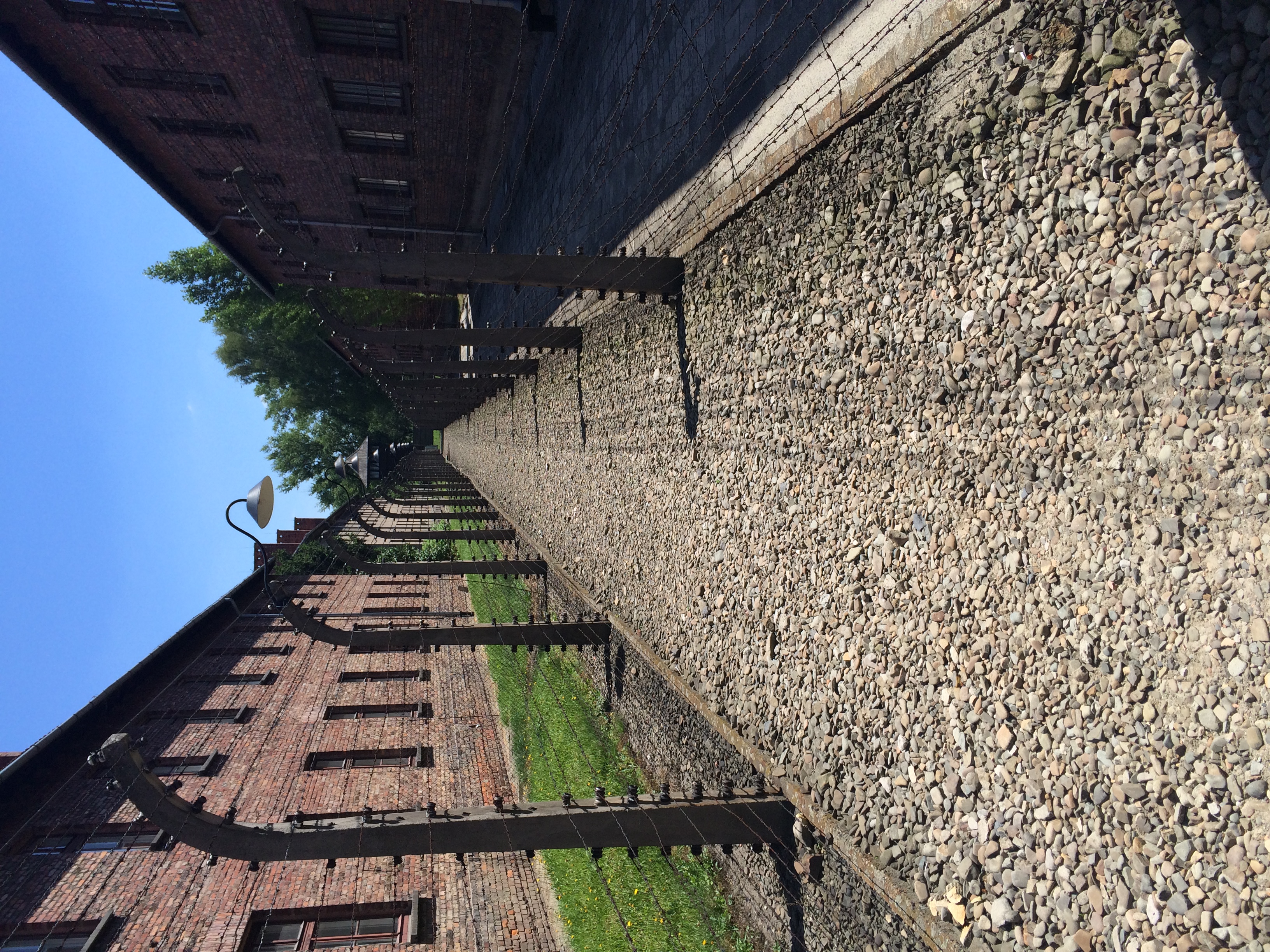Road Trip Auschwitz - Image 32