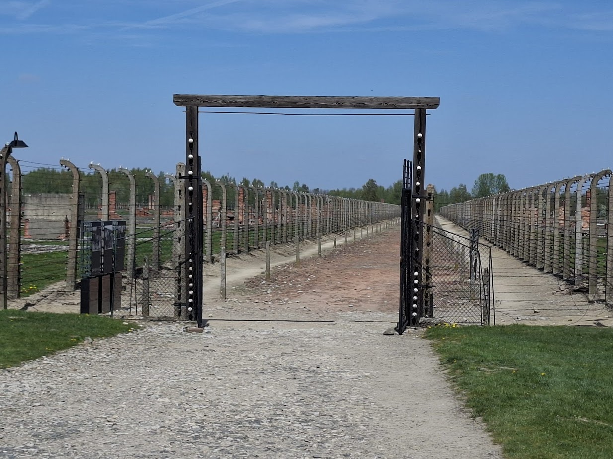 Road Trip Auschwitz 2026 - Image 12
