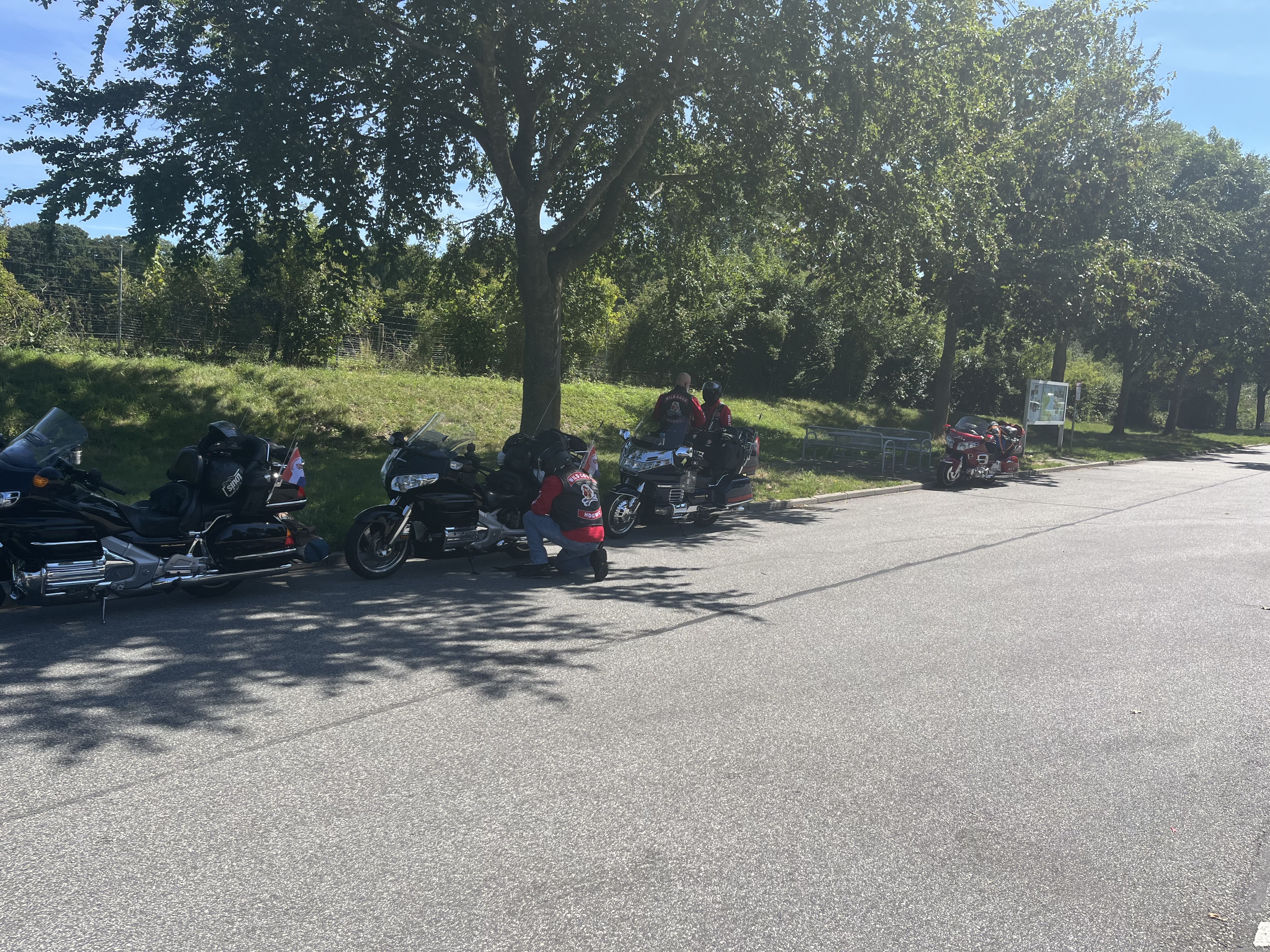 Gold Wing Treffen Denemarken - Image 23