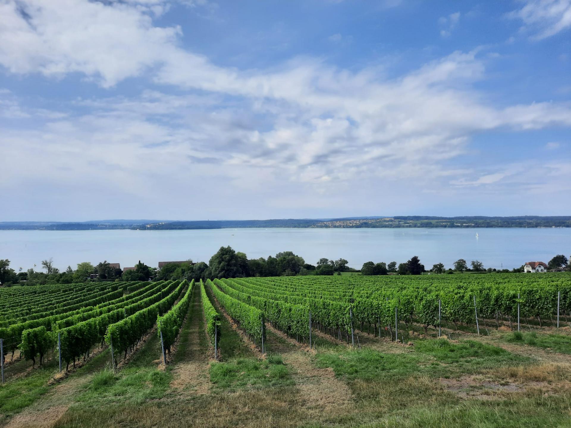 Ride Out Black Forrest 2023 - Image 13