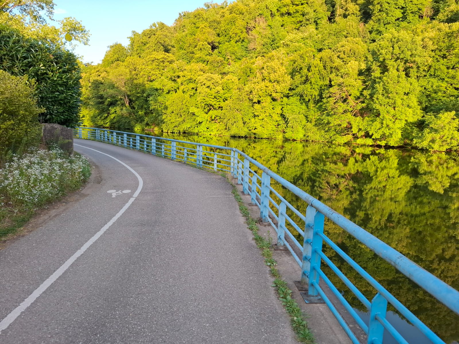 Anniversary Tour 2025 - Image 12