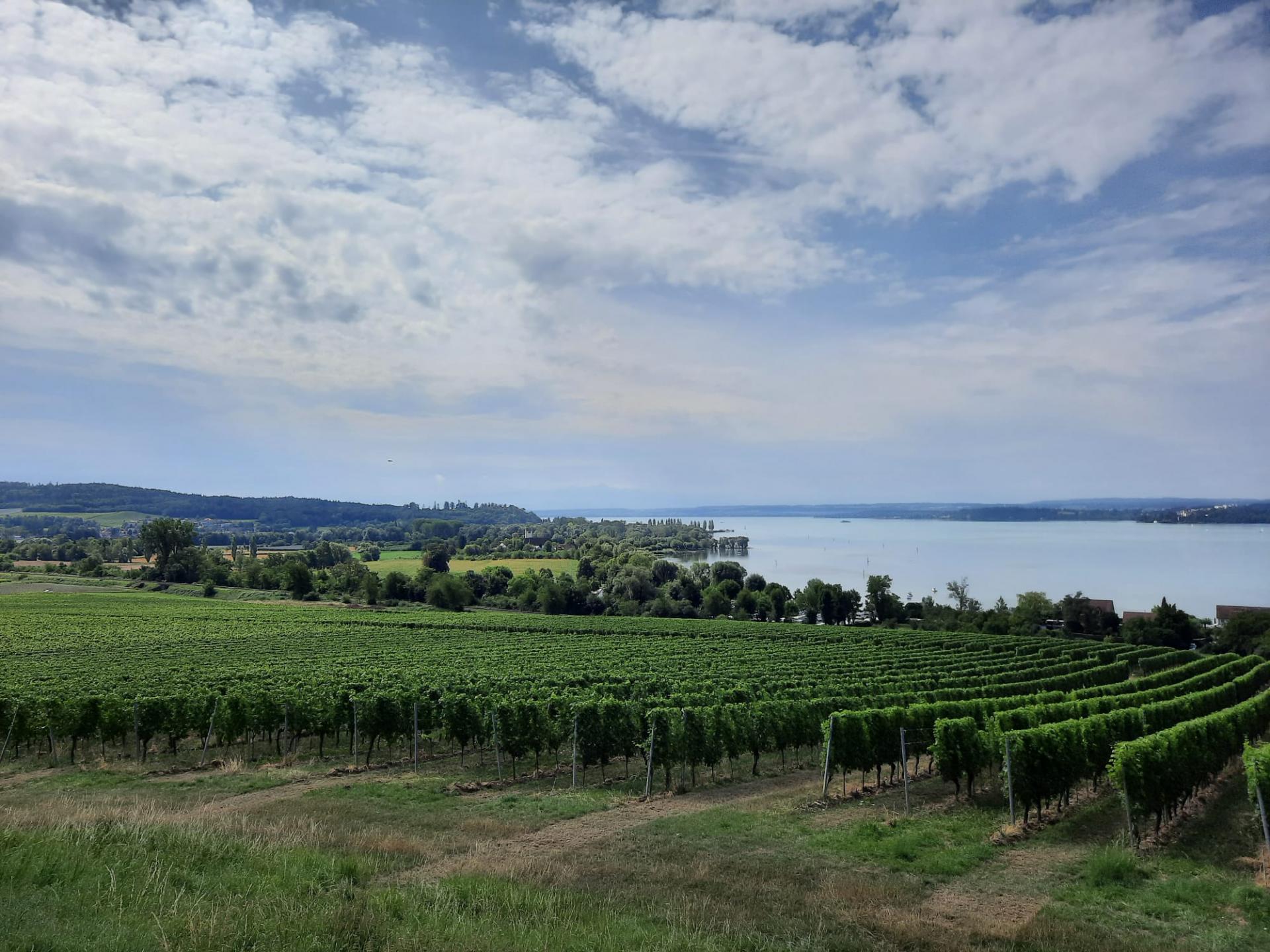 Ride Out Black Forrest 2023 - Image 25