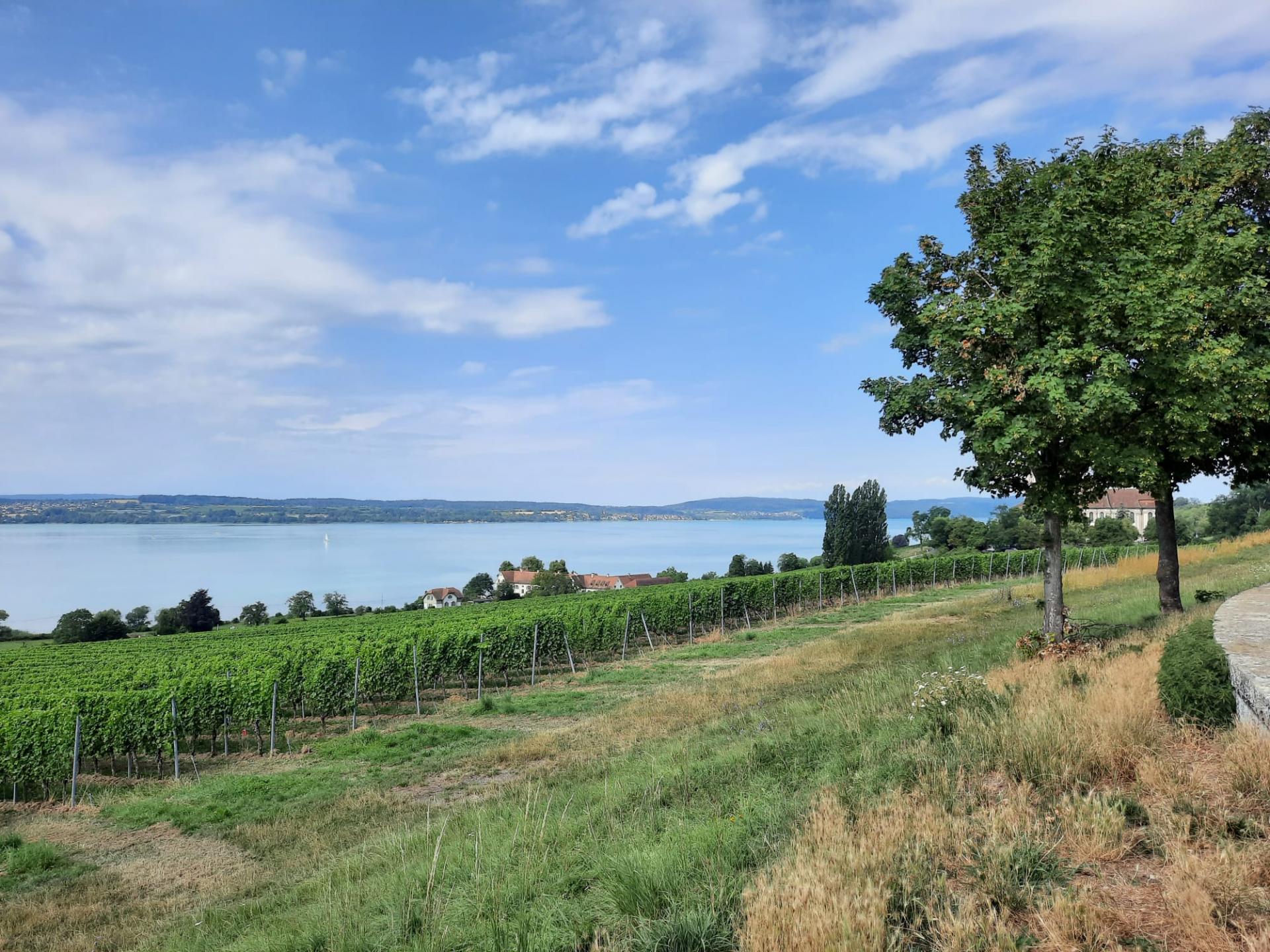 Ride Out Black Forrest 2023 - Image 29